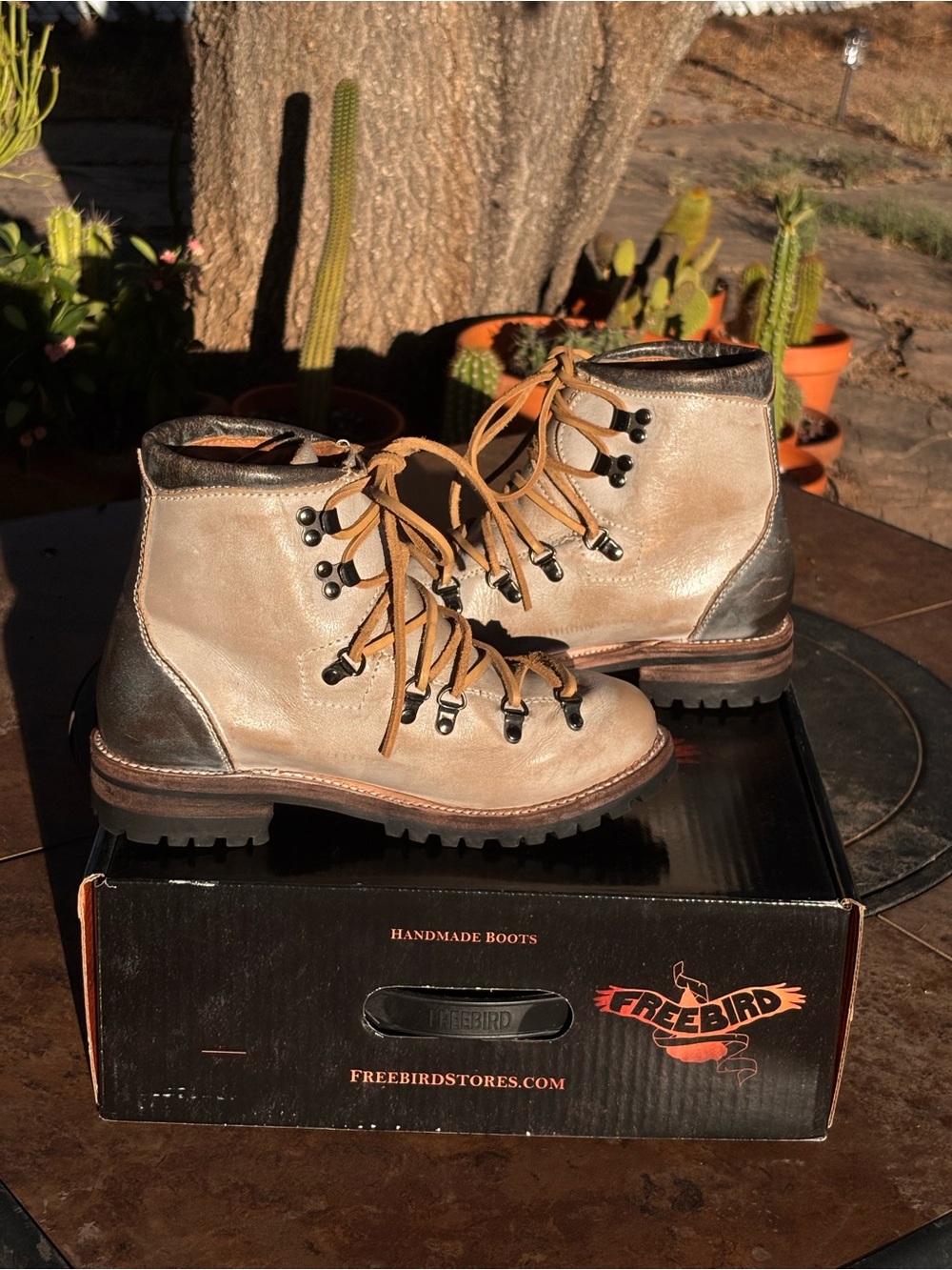 Freebird Hiker Boot